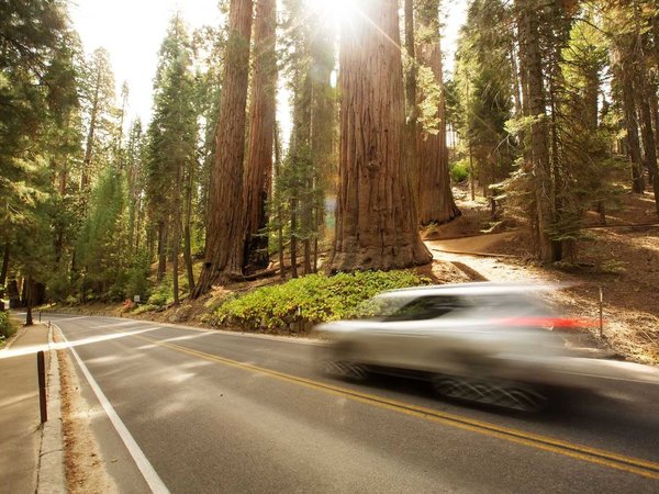 Sunset in Sequoia national park in California, USA