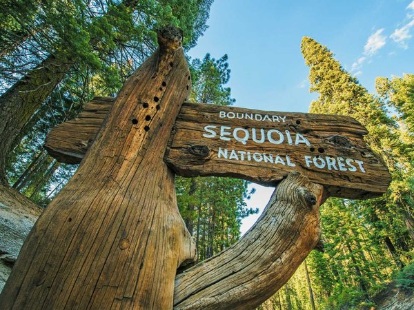 Sequoia National Forest