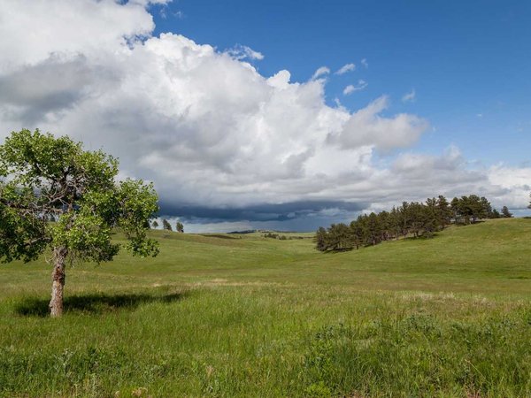 Wind Cave Park Landscape