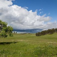 Wind Cave Park Landscape