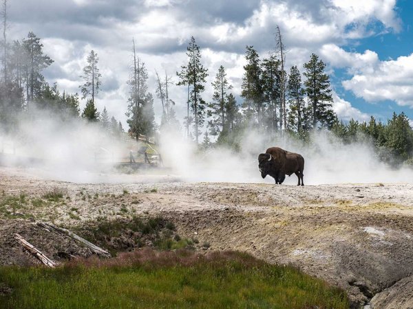 Yellowstone National Park