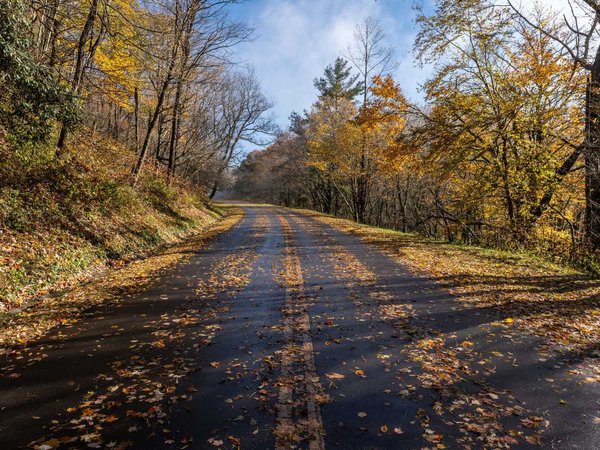 Great Smoky Mountains National Park Road in Autumn
