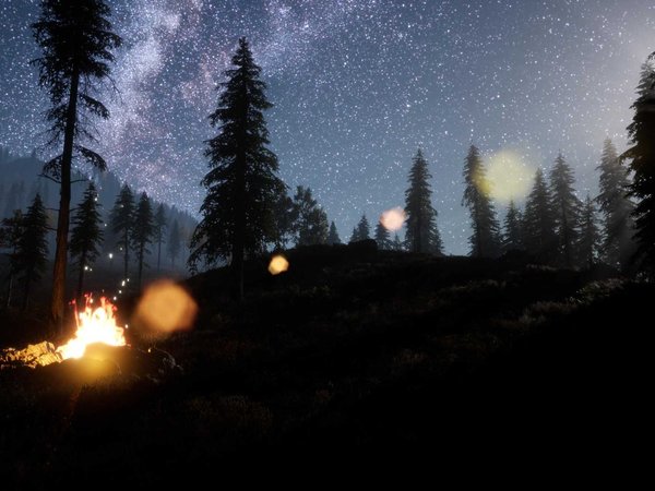 campfire at mountain rorest at night