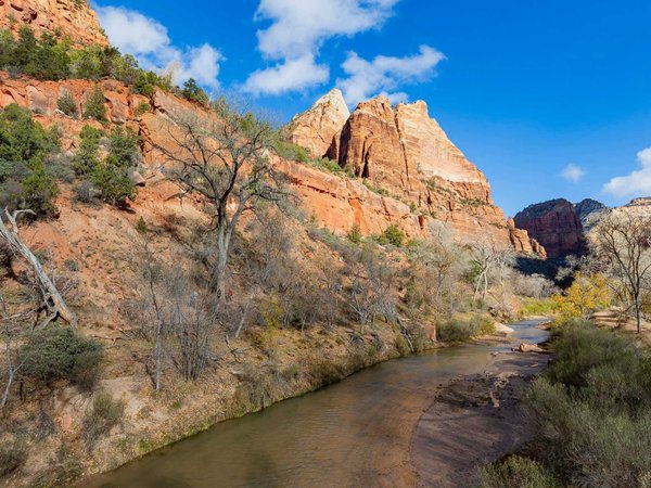 Daytime view of the famous Zion National Park