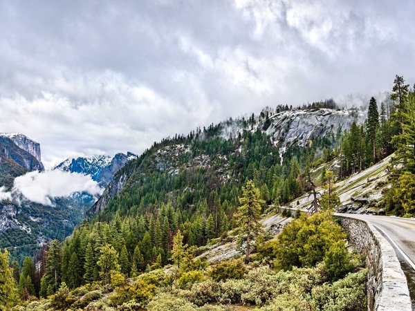 Wawona Road in Yosemite National Park, California