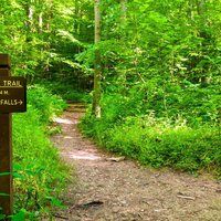 Cuyahoga Valley National Park is perfect for hiking, biking, and picnicking because of its scenic views and abundance of trails.