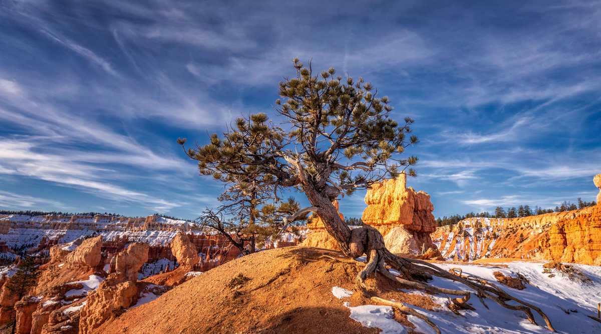 Popular types of activities in Bryce Canyon National Park