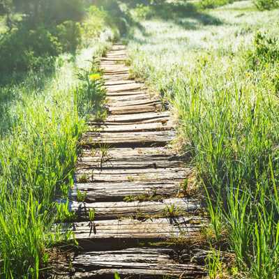 Popular types of activities in Redwood National Park