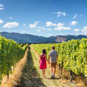 A couple walks through rows of grape vines on a private farm tour