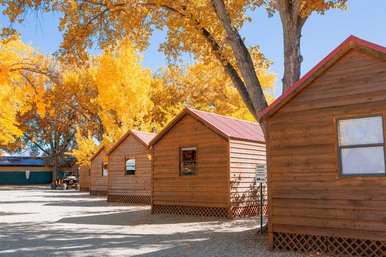 Log cabin in campground with autumn tree.