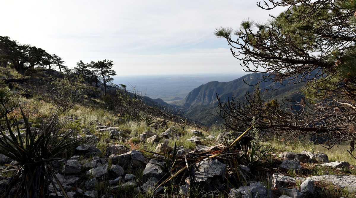 Best things to do in Guadalupe Mountains National Park