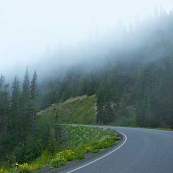 Foggy Mountain Road