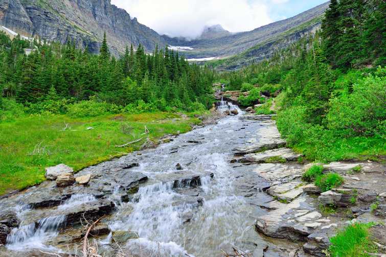 mountain stream on a high alpine trail in glacier national park