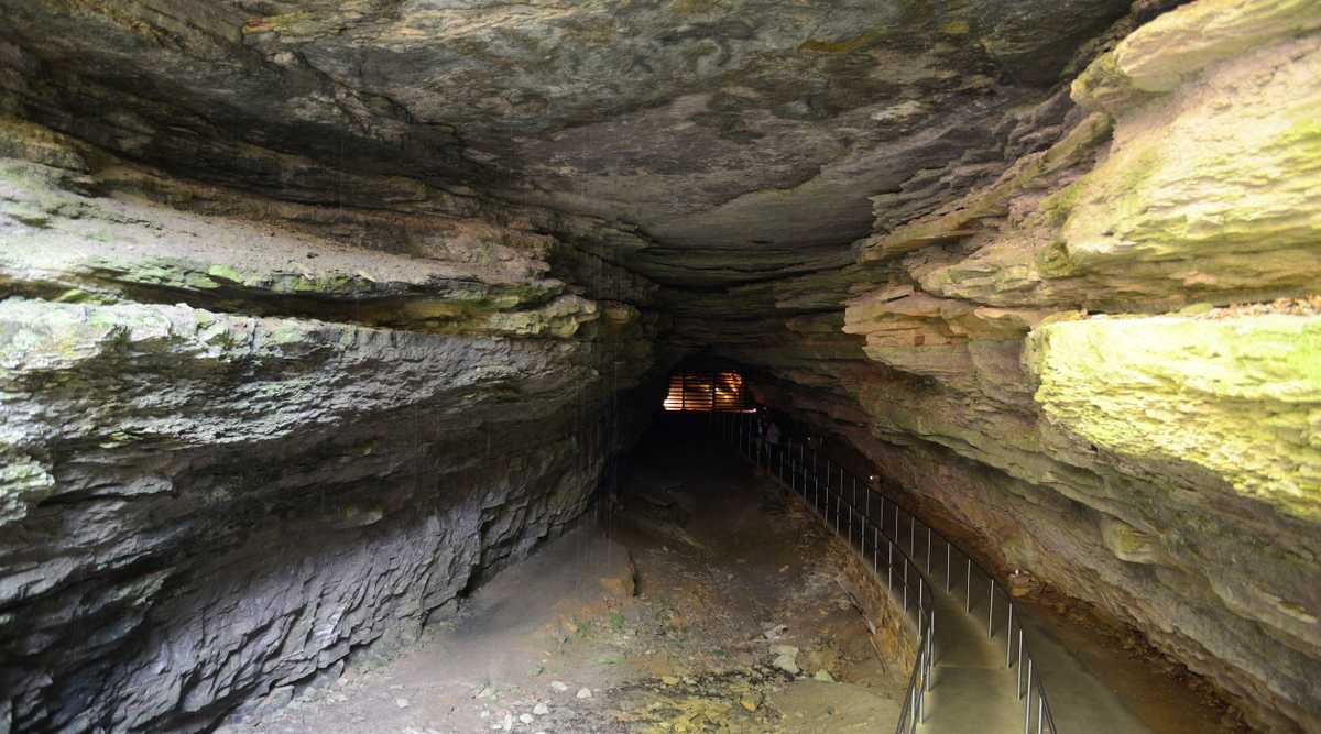 Best things to do in Mammoth Cave National Park