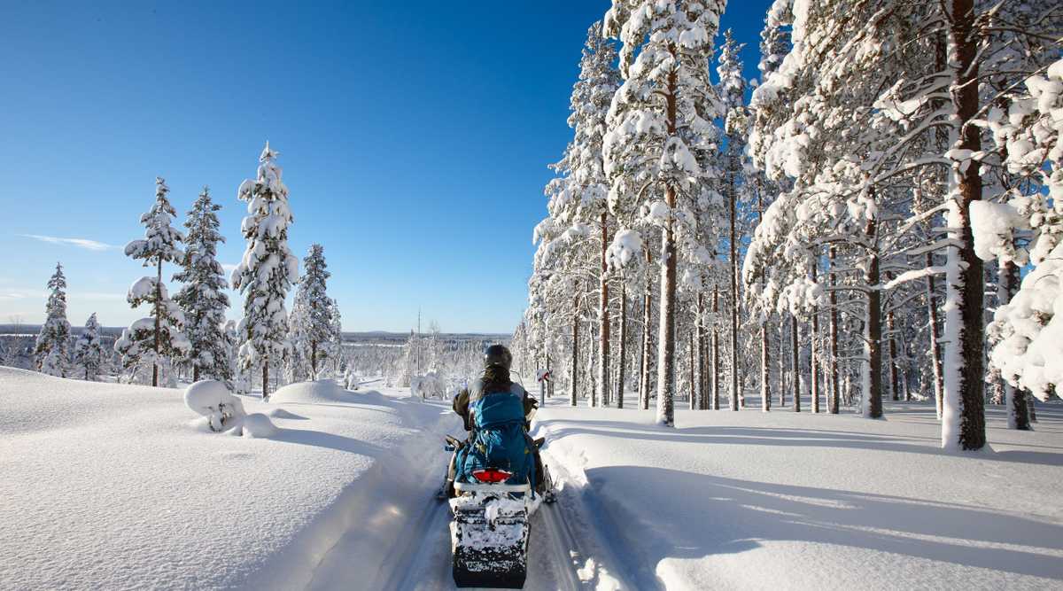 Traveling Lapland with snowmobile