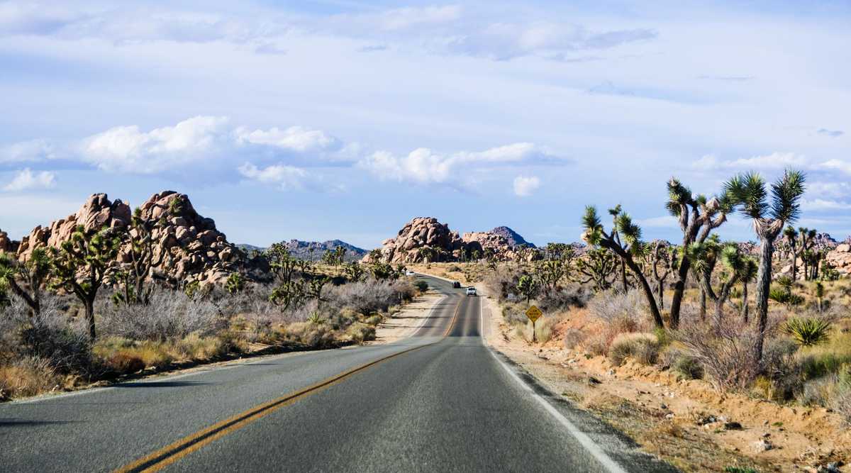 Driving on a paved road in Joshua Tree National Park, south California