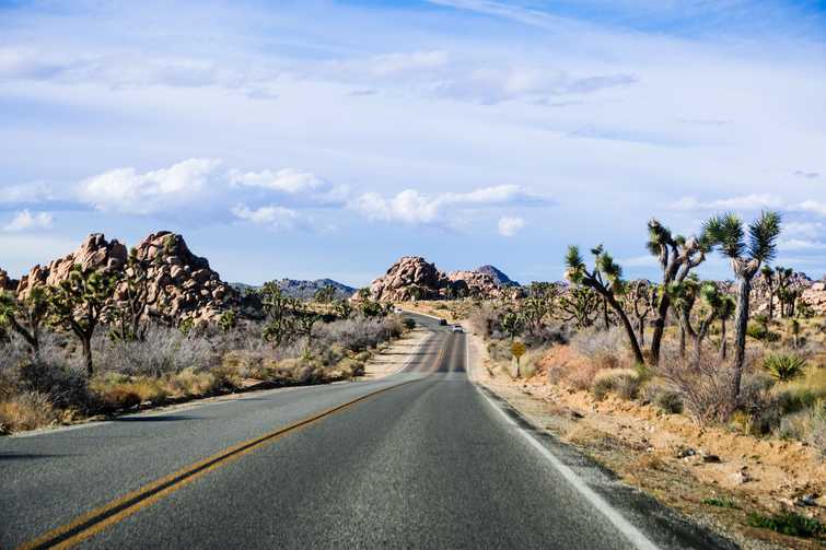 Driving on a paved road in Joshua Tree National Park, south California