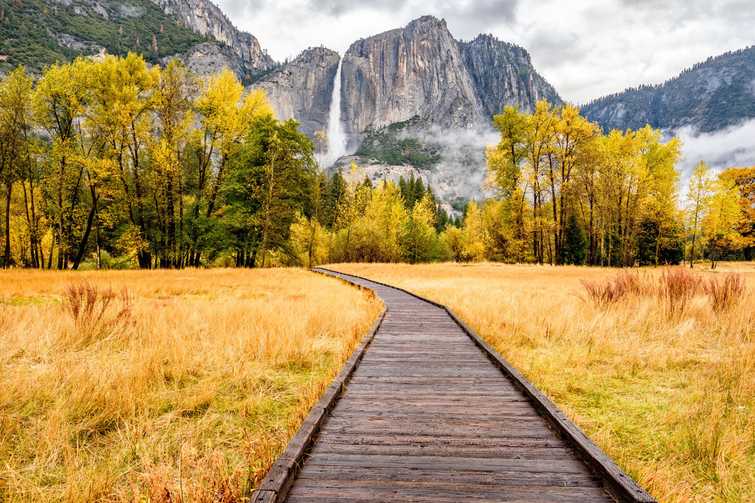 Meadow with boardwalk in Yosemite National Park Valley at autumn