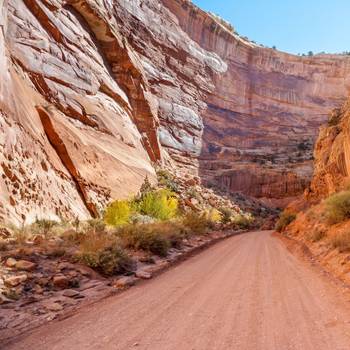 Popular types of activities in Capitol Reef National Park