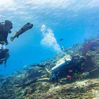 Tourists take time on their vacation to go scuba diving with a guide