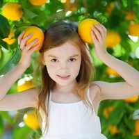 An adorable girl holds up two Florida oranges like mickey mouse ears on her head