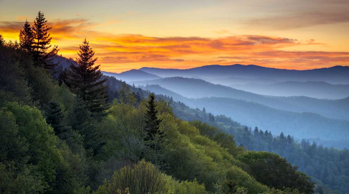 Best things to do in Great Smoky Mountains National Park
