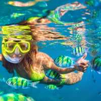 Girl in snorkeling mask dive underwater with coral reef fishes