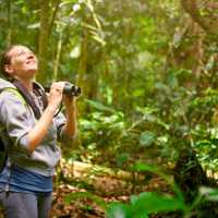 Hiker watching through binoculars wild birds in the jungle.
