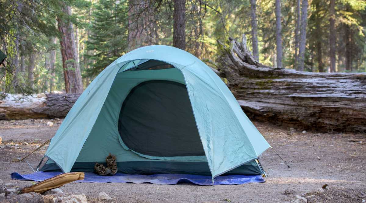 Campground green tent among pine trees